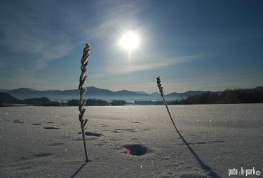 写真：雪景色